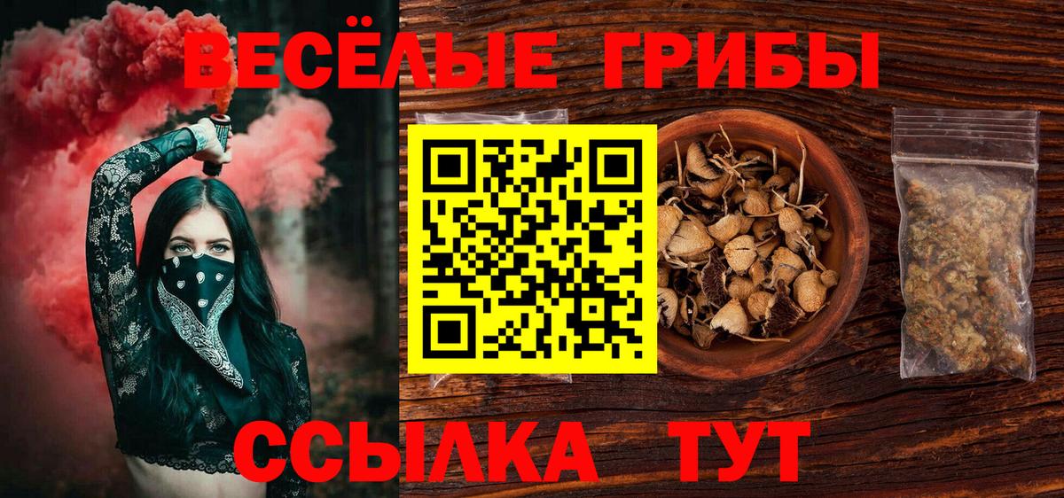Псилоцибиновые грибы Cubensis  Вход с VPN  Борисоглебск 