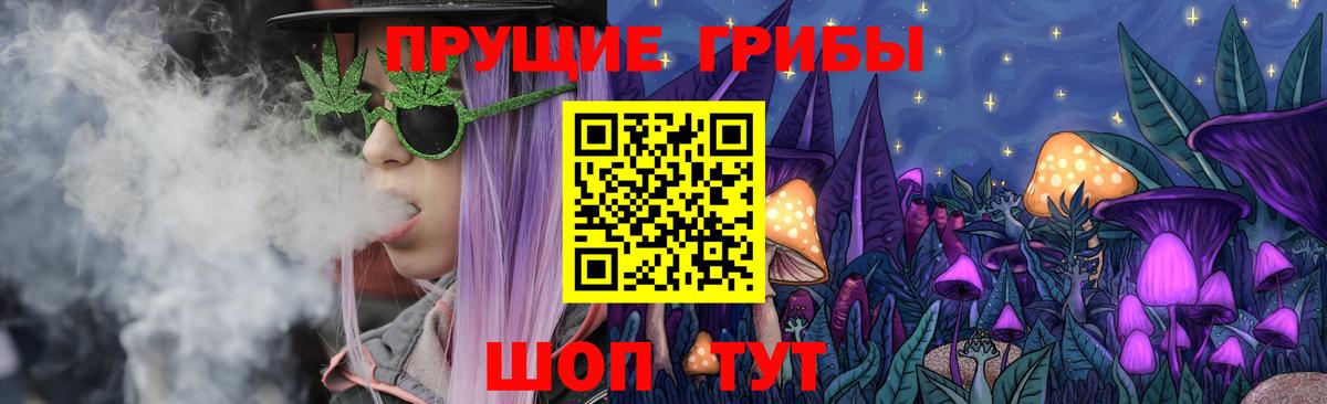Псилоцибиновые грибы Cubensis Борисоглебск